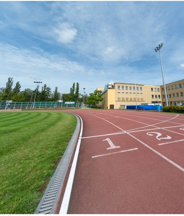 Proč studovat gymnázium nebo sportovní gymnázium